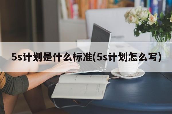 5s计划是什么标准(5s计划怎么写)